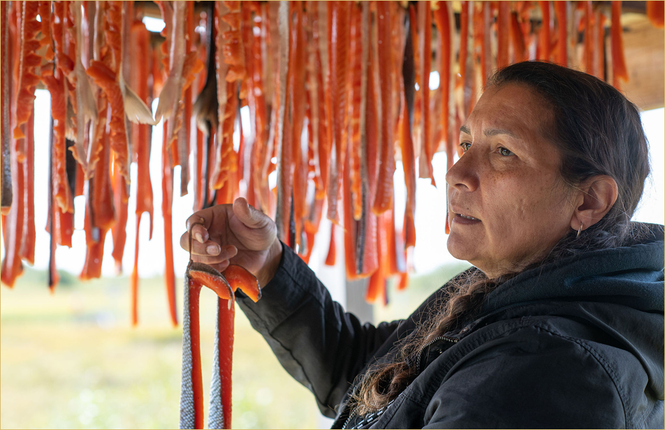 Donlin Gold LLC employee Colleen Laraux drying salmon from her subsistence harvest.